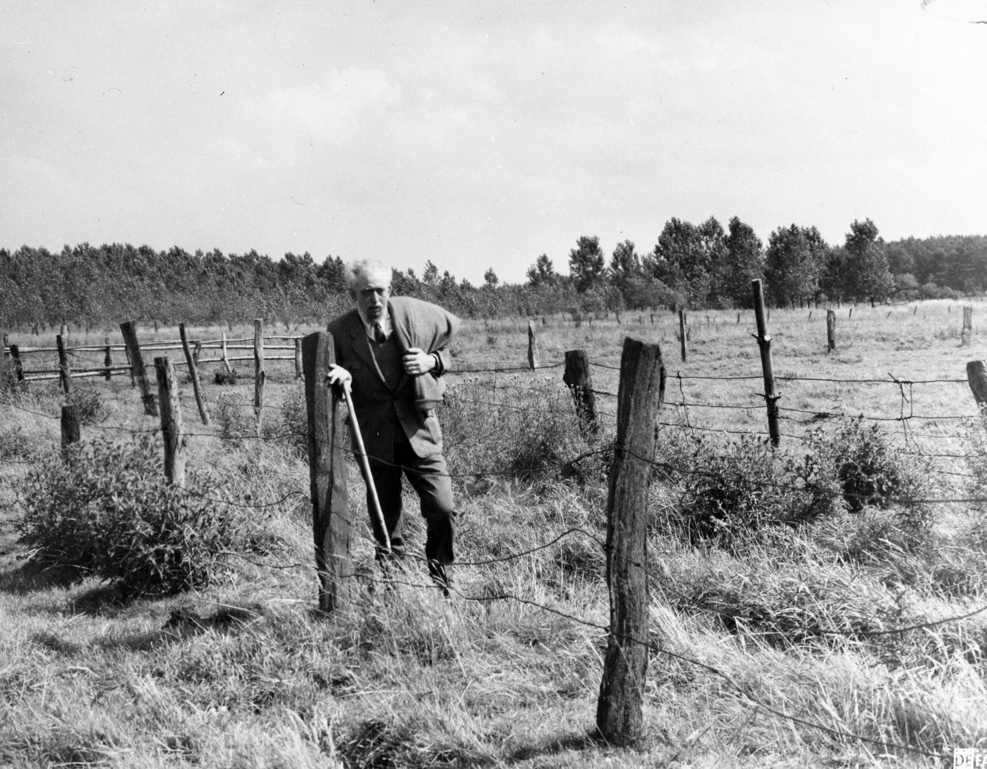 Filmdetails Der verlorene Engel (1966) DEFA Stiftung