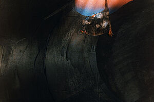 Filmstill zu "Idyllische Landschaft"