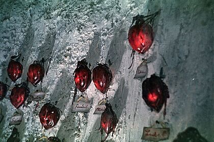 DAS KALTE HERZ Film still for "Das kalte Herz"