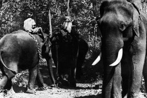 Filmstill zu "Der schwarze Berg"