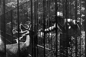 Filmstill zu "Das Stacheltier - Der Tierfreund"