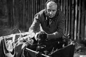 Filmstill zu "Kein Ärger mit Cleopatra"