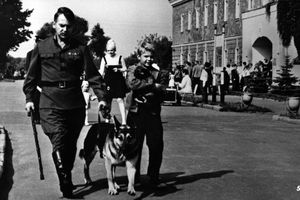 Film still for "Wir und Vulkan"