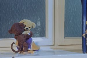 Filmstill zu "Alle helfen Teddy"