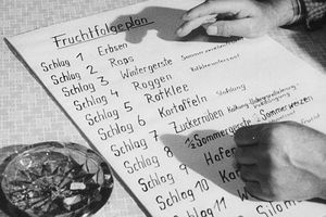 Filmstill zu "2 x Bilanz" 