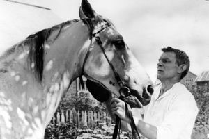 Film still for "Mit dem Kopf durch alle Wände"