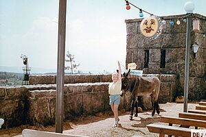 Filmstill zu "Vom König Midas"