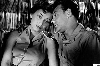 Filmstill zu "Geschwader Fledermaus"