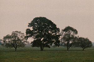 Filmstill zu "Leute mit Landschaft" 