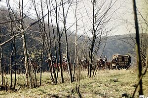 Film still for "Till Eulenspiegel"