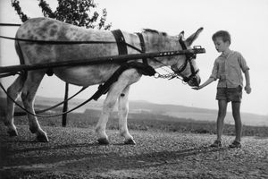 Filmstill zu "Grossvater, Kilian und ich"