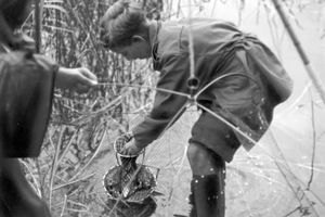 Film still for "Blaue Wimpel im Sommerwind" 