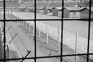 Filmstill zu "Todeslager Sachsenhausen"