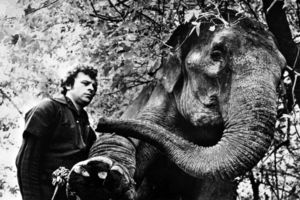 Film still for "Ein Elefant ging verloren"