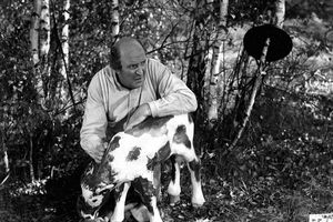 Film still for "Das hölzerne Kälbchen"