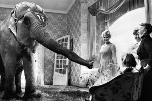 Filmstill zu "Und dann kam Bumbo"