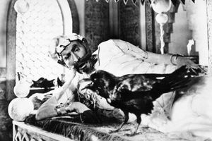 Filmstill zu "Finist, heller Falke"