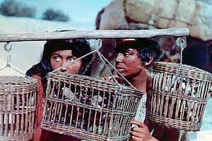 Filmstill zu "Hatifa"