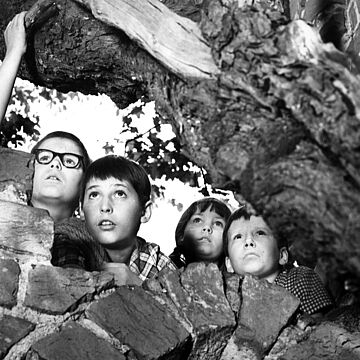 Filmstill zu "Käuzchenkuhle"