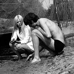 Filmstill zu "Zeit der Störche"