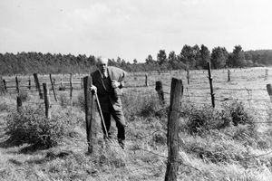 Filmstill zu "Der verlorene Engel"