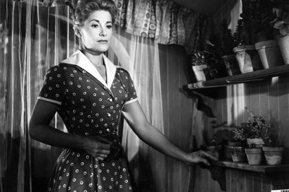 REIFENDER SOMMER Filmstill zu "Reifender Sommer"