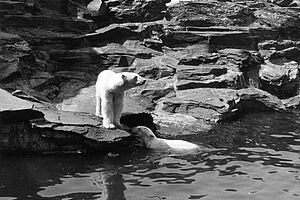 Filmstill zu "Das Stacheltier - Der Tierfreund"