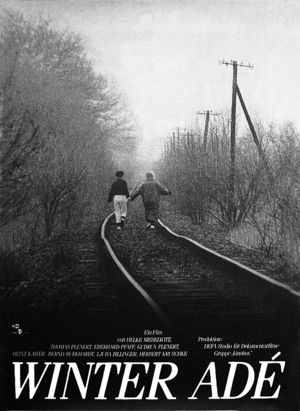 Film poster for "Winter adé"
