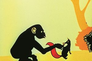 Filmstill zu "Eichhörnchen Pinselohr"