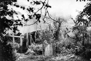Filmstill zu "Die Mühle des Califar"
