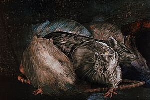 Filmstill zu "Idyllische Landschaft"