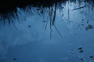 Filmstill zu "Hochwaldmärchen" 