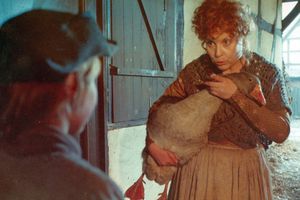 Filmstill zu "Die Gänse von Bützow"