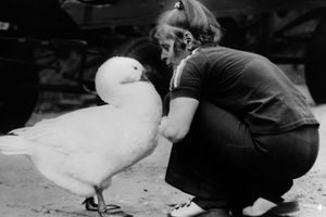 Filmstill zu "Groß-Stadttiere - ein Film für Kinder und Erwachsene" 