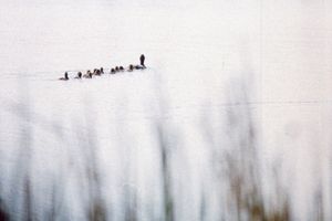 Filmstill zu "Spring wenn du kannst" 