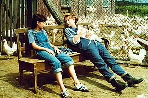 Filmstill zu "Das Herz des Piraten"