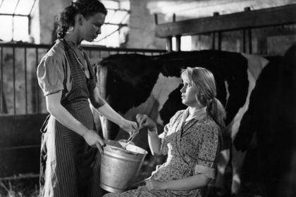 EIN MÄDCHEN VON 16 1/2 Filmstill zu "Ein Mädchen von 16 1/2"