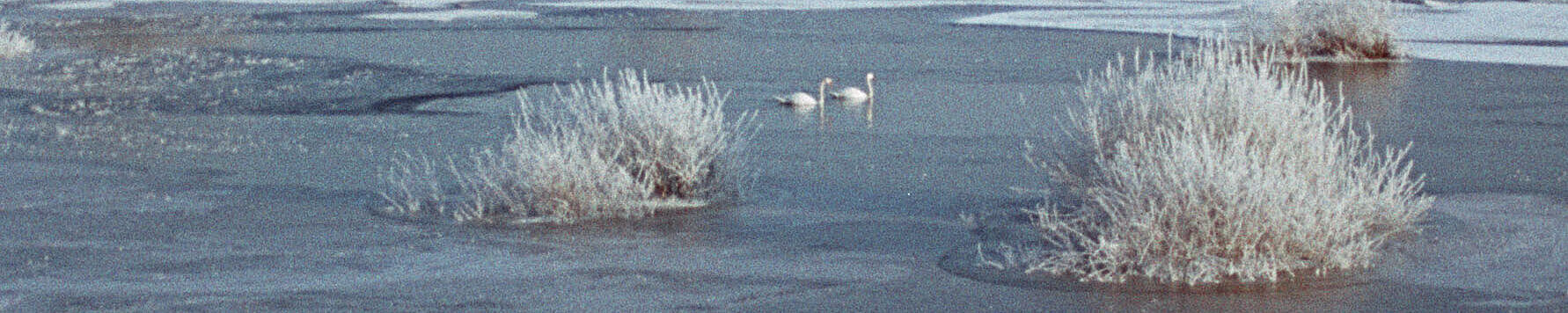 Filmstill zu "Auf der Oder"