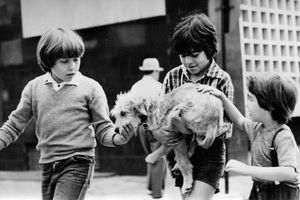 Film still for "Der Hund in der Schublade"