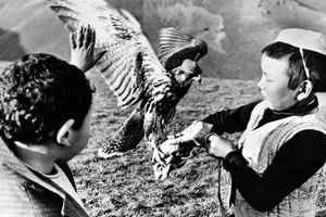 Filmstill zu "Mein Haus auf den grünen Hügeln"