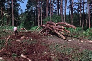 Filmstill zu "Der Darß"