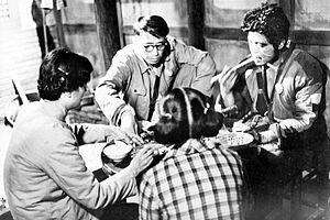 Filmstill zu "Ein Berühmter in der Gasse"