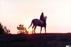 Filmstill zu "Das Pferdemädchen"