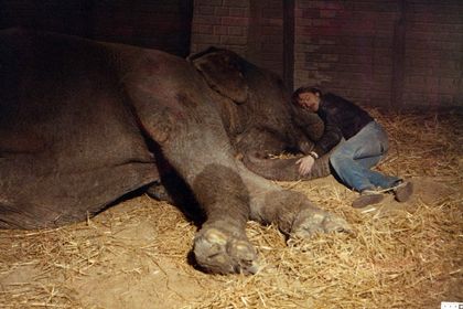 Filmstill zu "Der Haifischfütterer" 