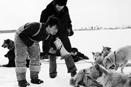 Filmstill zu "Kit & Co"