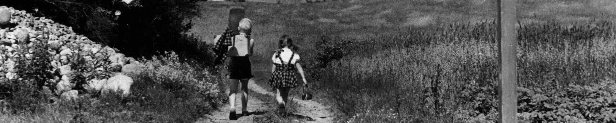 Filmstill zu "Die Fahrt nach Bamsdorf"