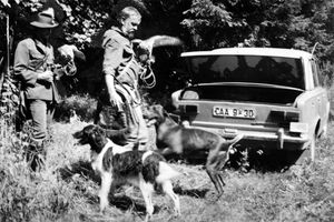 Filmstill zu "Die Geschichte vom Habicht, der wegfliegen wollte"
