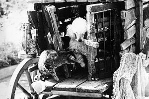 Filmstill zu "Es waren einmal ein Hund und eine Katze"