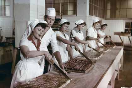 EINE HANDVOLL NOTEN Filmstill zu "Eine Handvoll Noten"