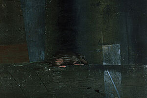 Filmstill zu "Idyllische Landschaft"